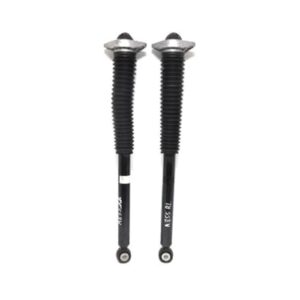 Honda Civic 2016-2018 Rear Shock Absorber